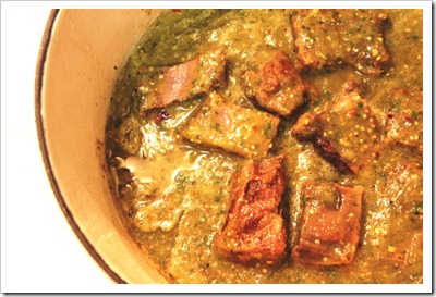 Braised Short Ribs in Tomatillo Sauce | step by step instructions with photos of the process
