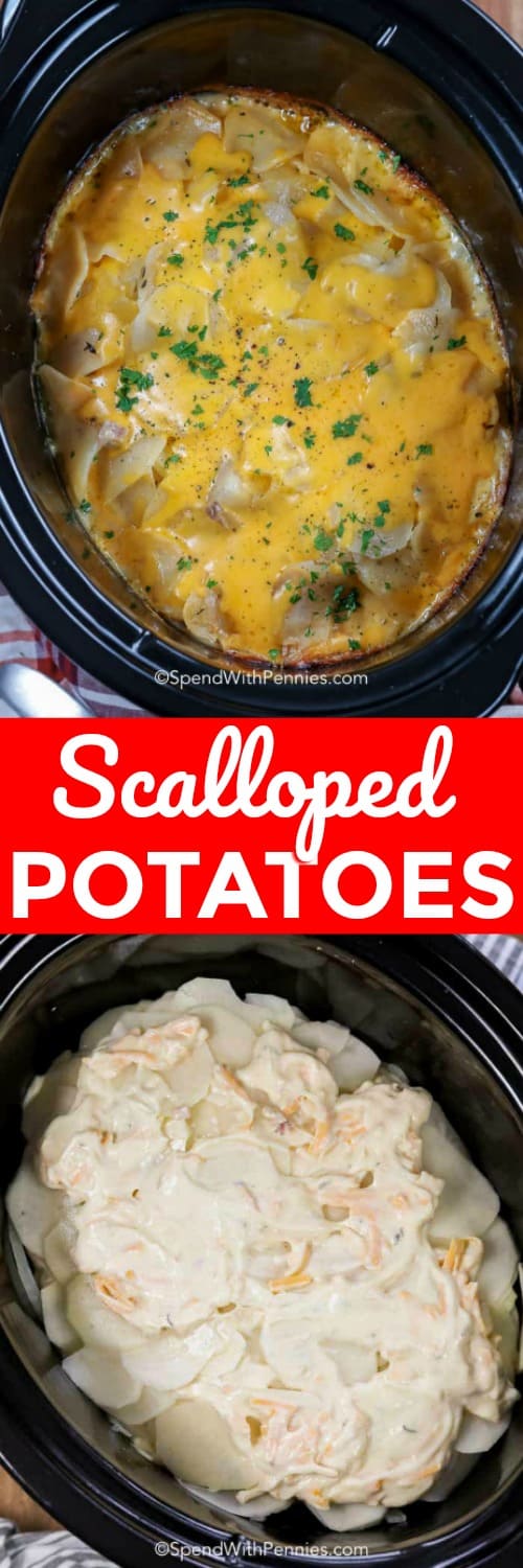 scalloped potatoes in baking dishes with text