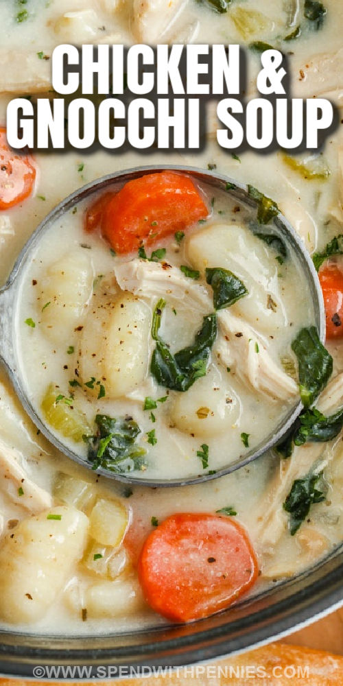 pot full of Chicken Gnocchi Soup with a title
