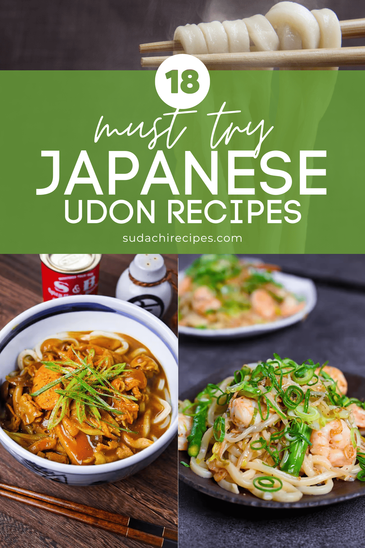 Japanese udon recipes