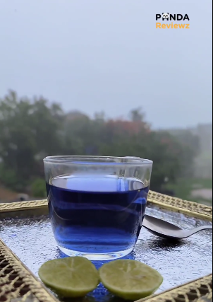 Butterfly pea blue tea