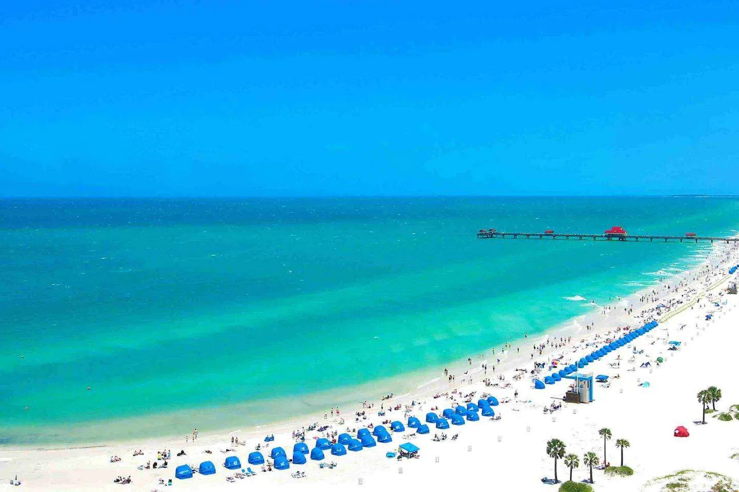 Looking for the best beaches in Tampa Florida? Well, look no further because this epic guide covers everything you need to know including the stunning Clearwater beach.