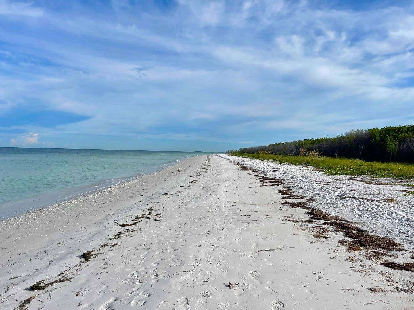 Looking for the best beaches in Tampa Florida? Well, look no further because this epic guide covers everything you need to know including the stunning Honeymood Island State Park beach.