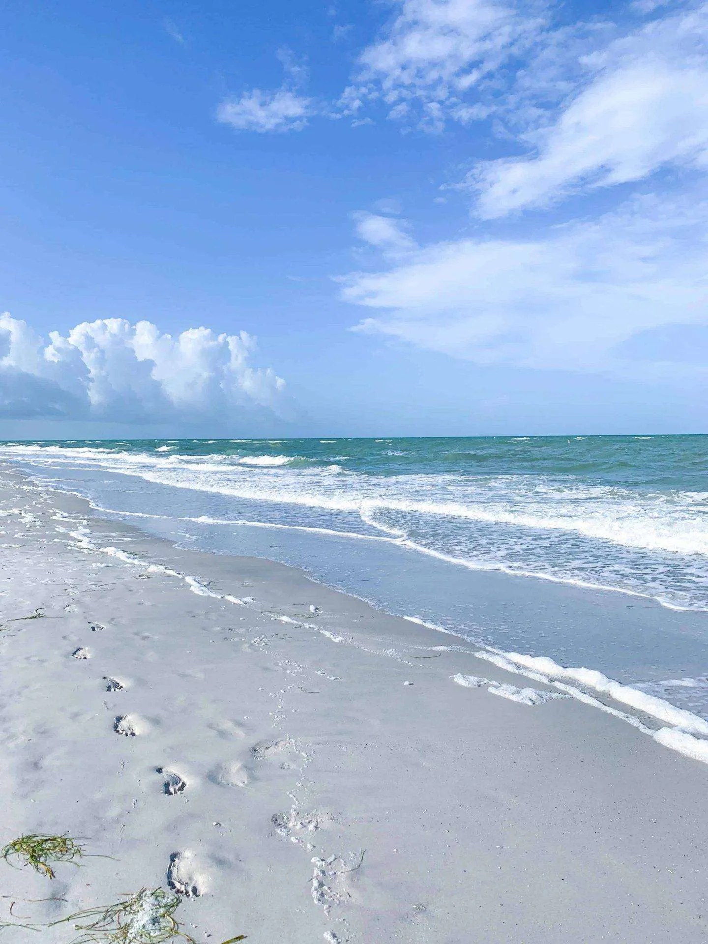 These beaches in Florida are perfect for those looking for a sunny and sandy getaway on the Gulf Coast. Our list of Tampa's best beaches has something for everyone, including hidden gems like Sunset Beach on Treasure Island