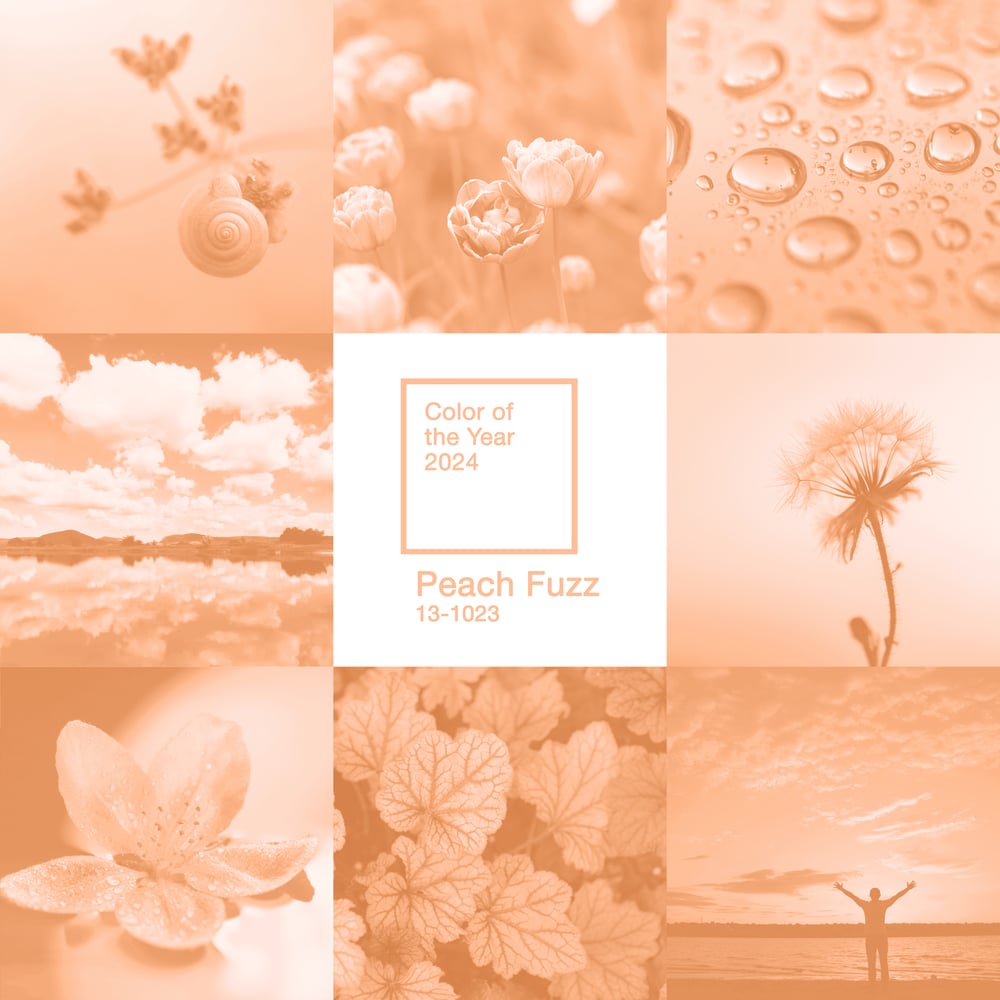 Creative tender square collage inspired by Peach Fuzz - color of the year 2024. The collage has eight photos all tinted with the color peach fuzz. There are flowers, plants, landscapes, water droplets, a man standing on the shore.