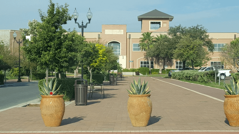 Green plants and trees brighten the pathways in front of city hall in Edinburg, Texas