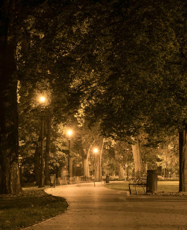 Exploring Margaret Island is one of the best things to do in Budapest at night.