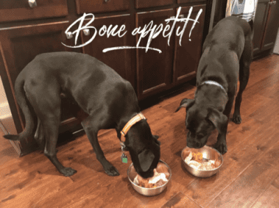 Bone appétit - My Dogs Are Digging Into Their Raw Dog Food
