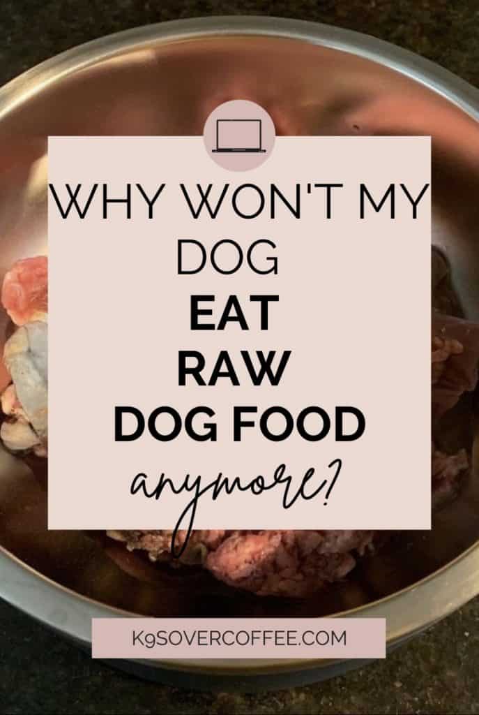 Why won't my dog eat raw dog food anymore?