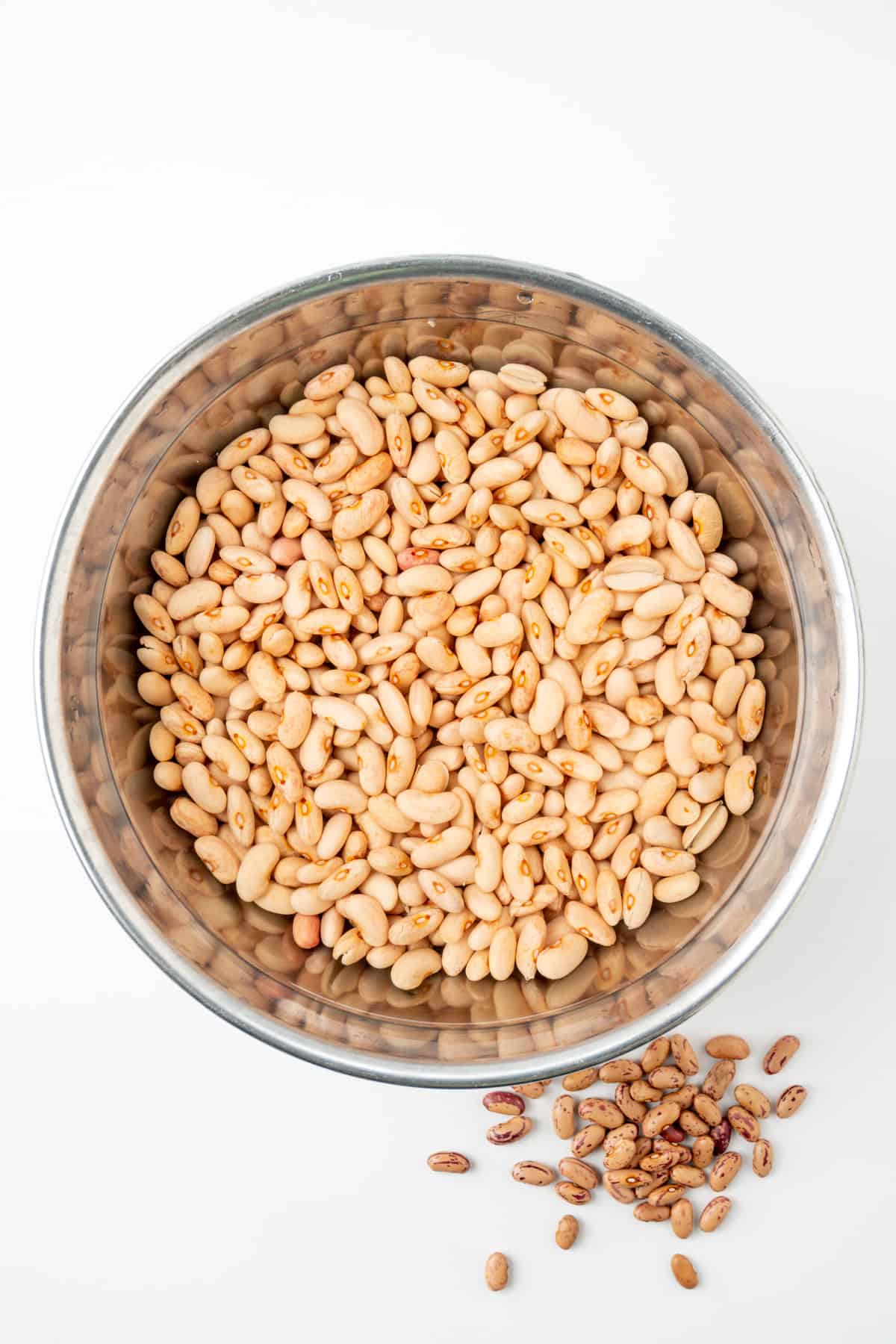 Pinto beans are lighter in colour and have almost doubled in size after soaking in water.