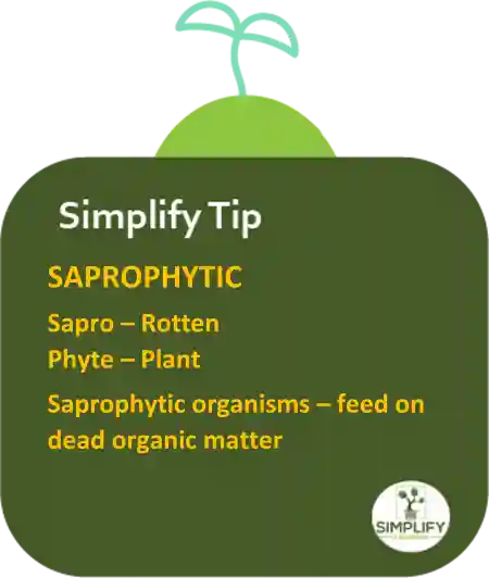 Simplify Tip Infographic regarding saprophytic organisms