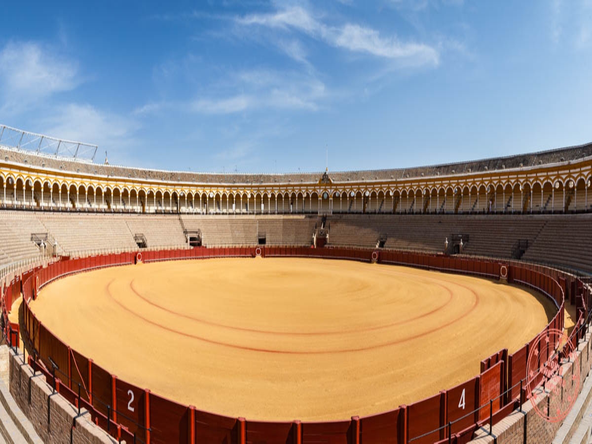 arena view from stands of the plaza de toros