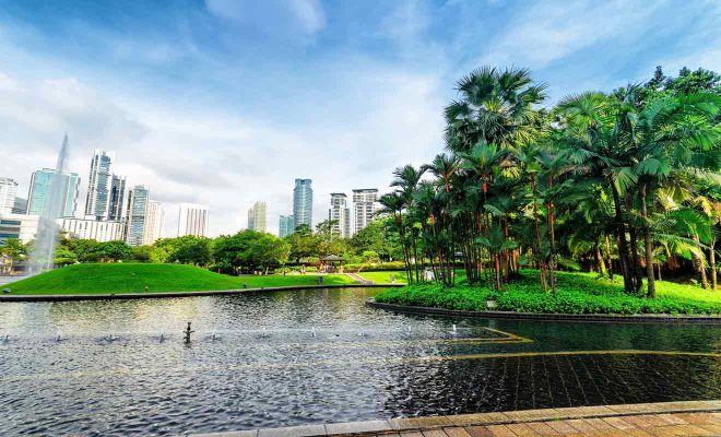 Tranquil urban park with a large reflective pond, lush palm trees, and a backdrop of modern skyscrapers under a clear blue sky